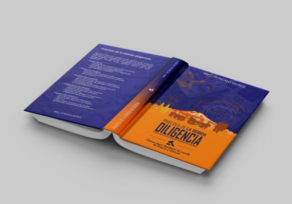 Ebook: "Práctica de la Debida Diligencia" - Imagen 3