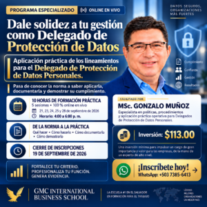 LINEAMIENTOS PARA EL DELEGADO DE PROTECCIÓN DE DATOS PERSONALES